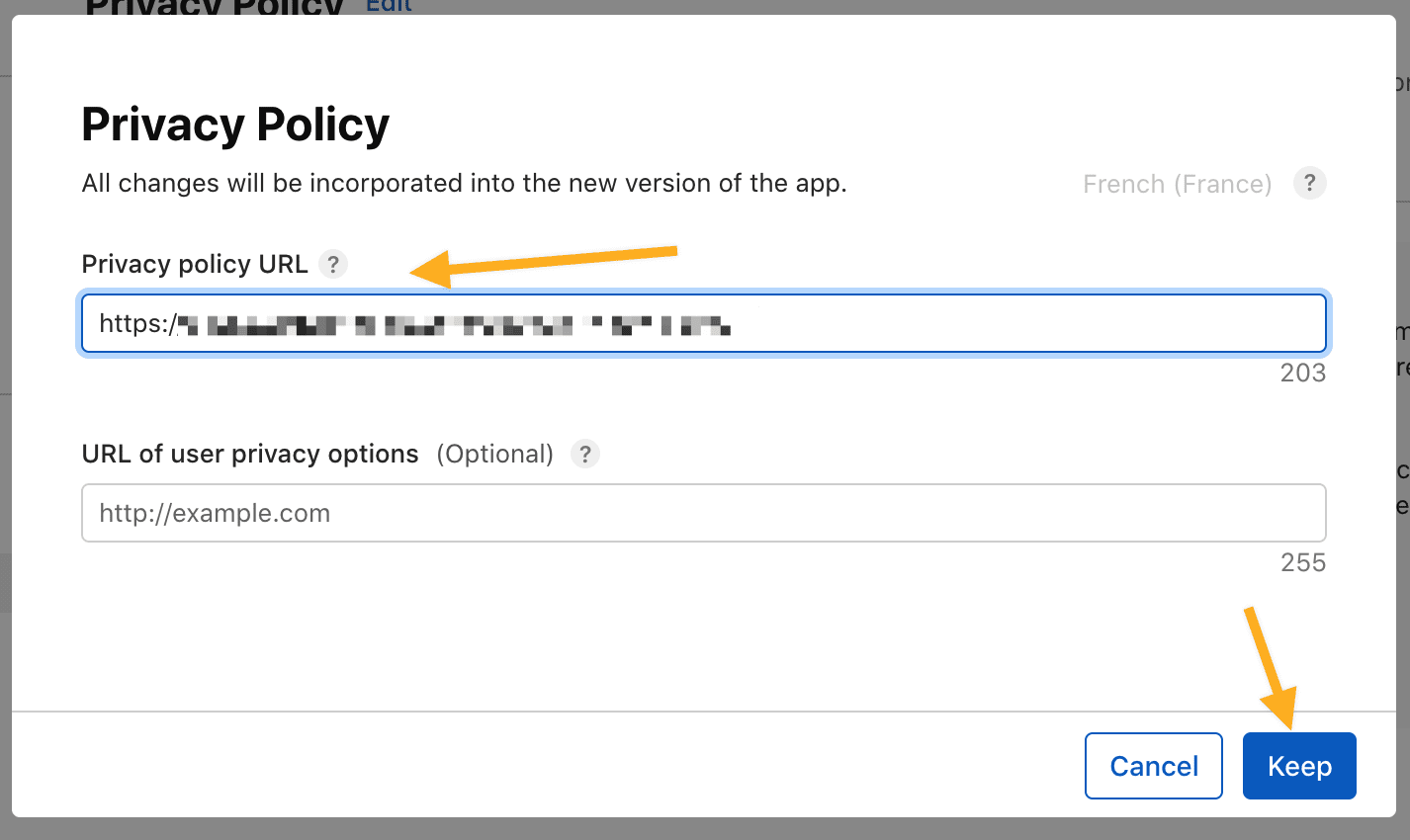 Enter the App Privacy policy URL