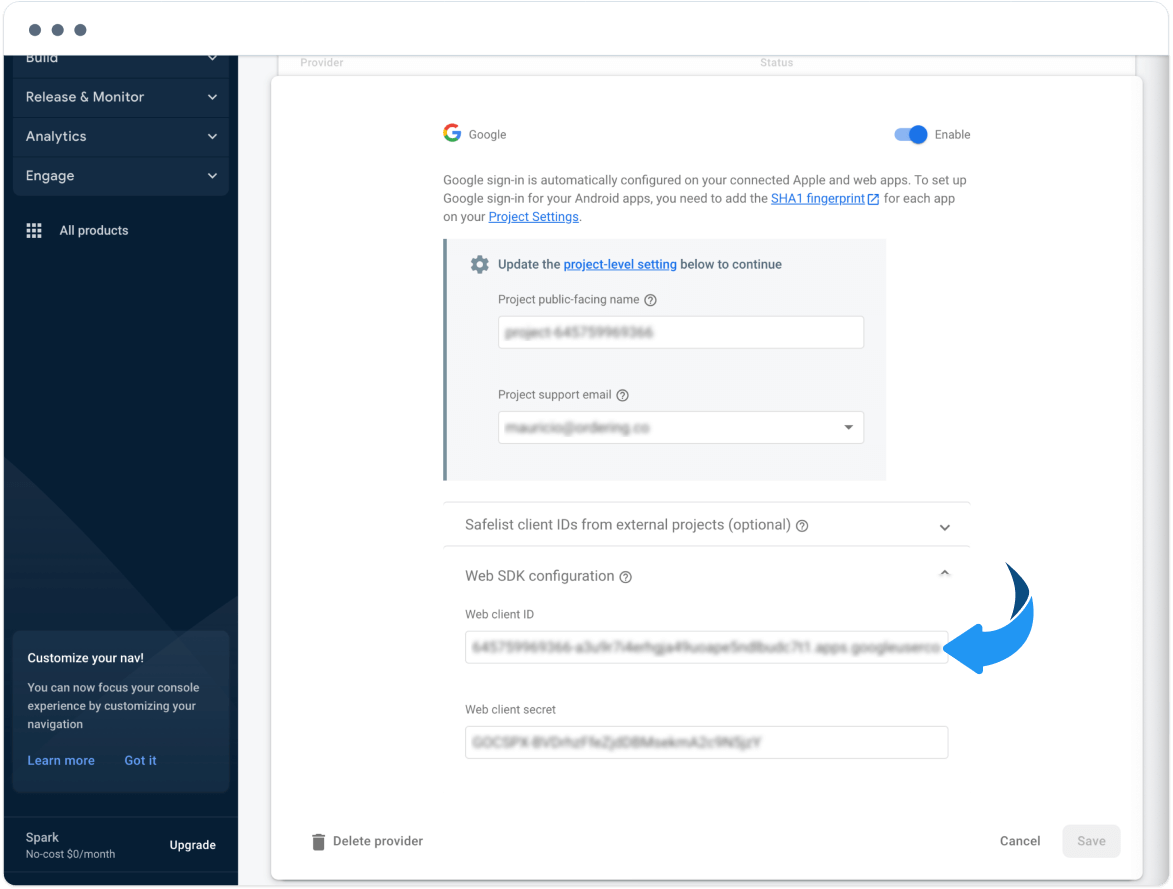 WEB CLIENT ID in the Google provider
