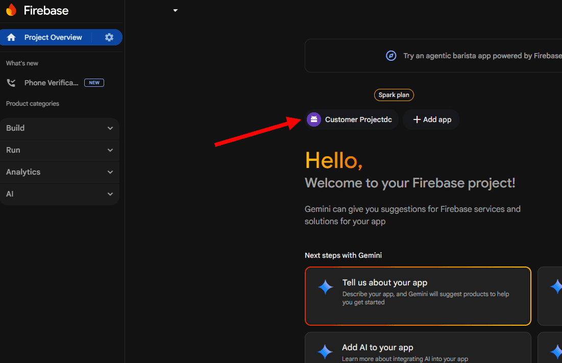 Firebase project settings