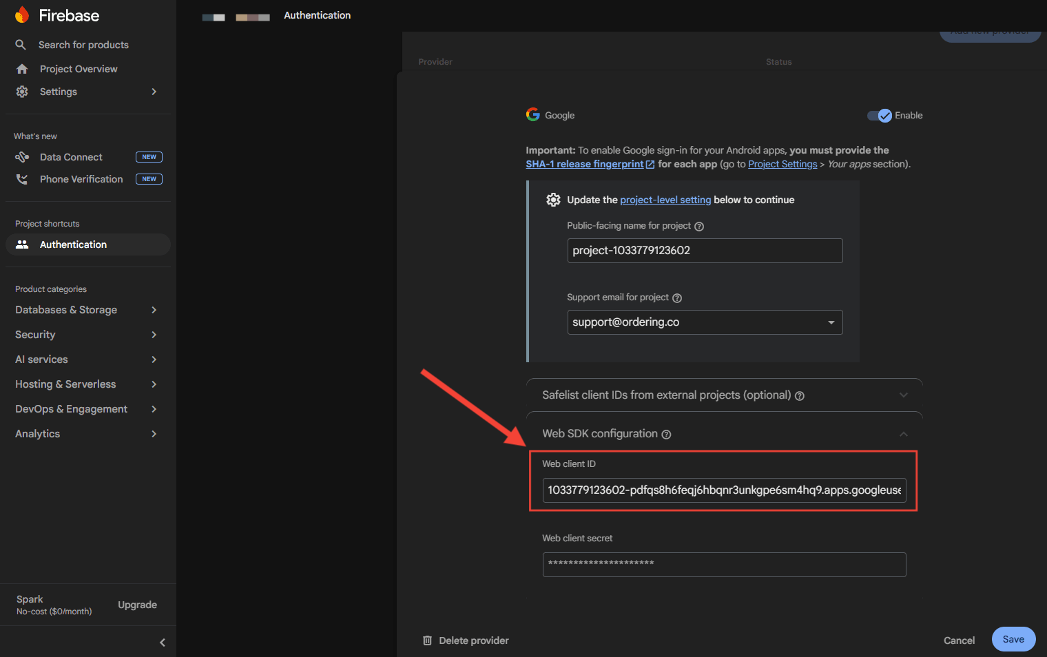Web Client ID in the Google provider