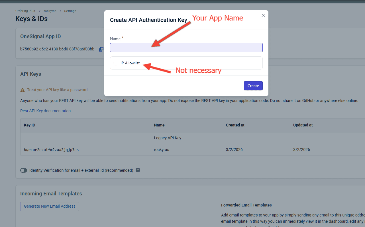OneSignal created API key