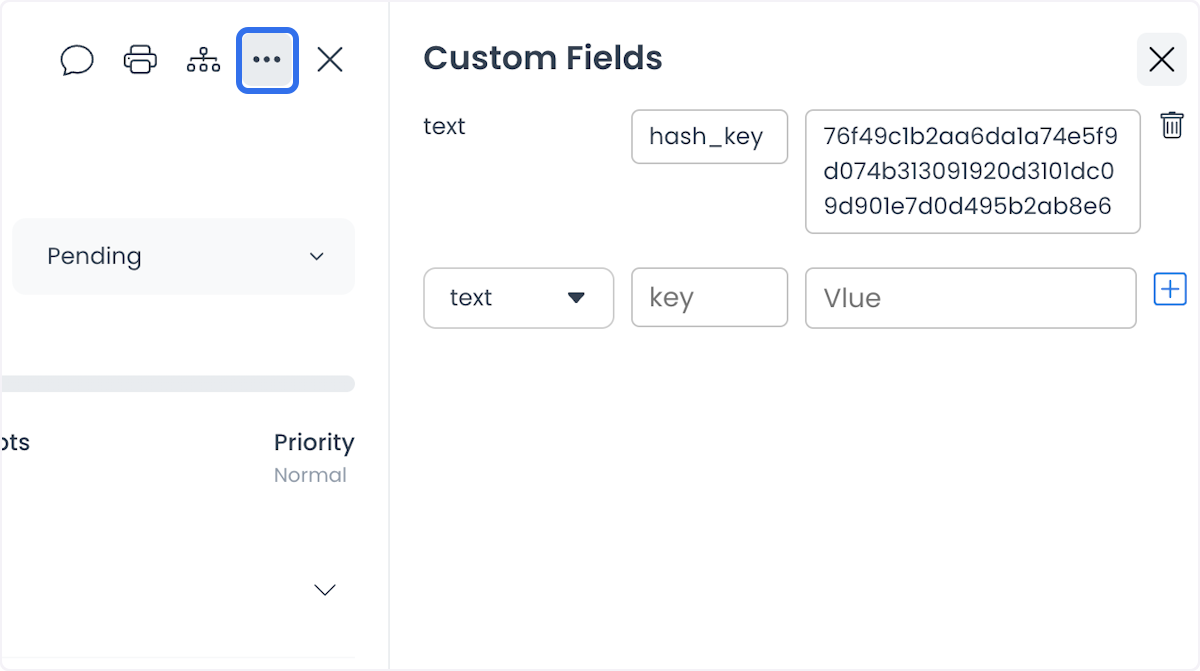 Panel Custom Fields con controles de tipo, clave, valor, agregar y eliminar
