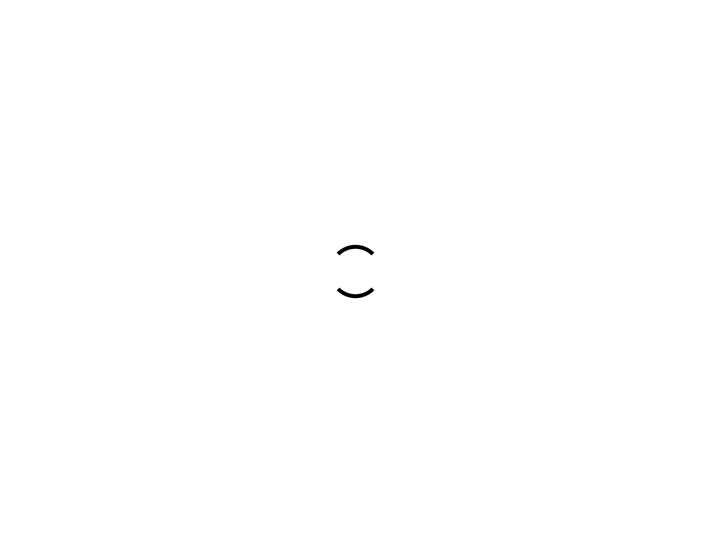 Desktop Website showing the full-viewport startup loading animation before routed content appears