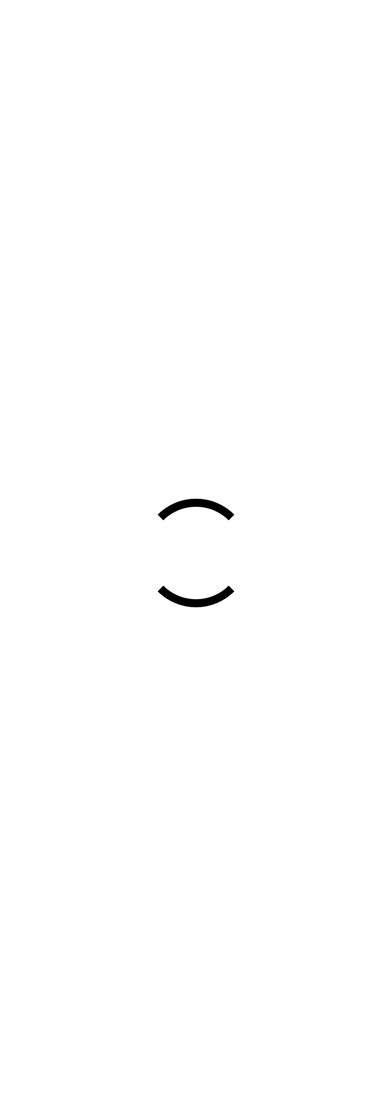 Mobile Website showing the full responsive startup loading animation before routed content appears