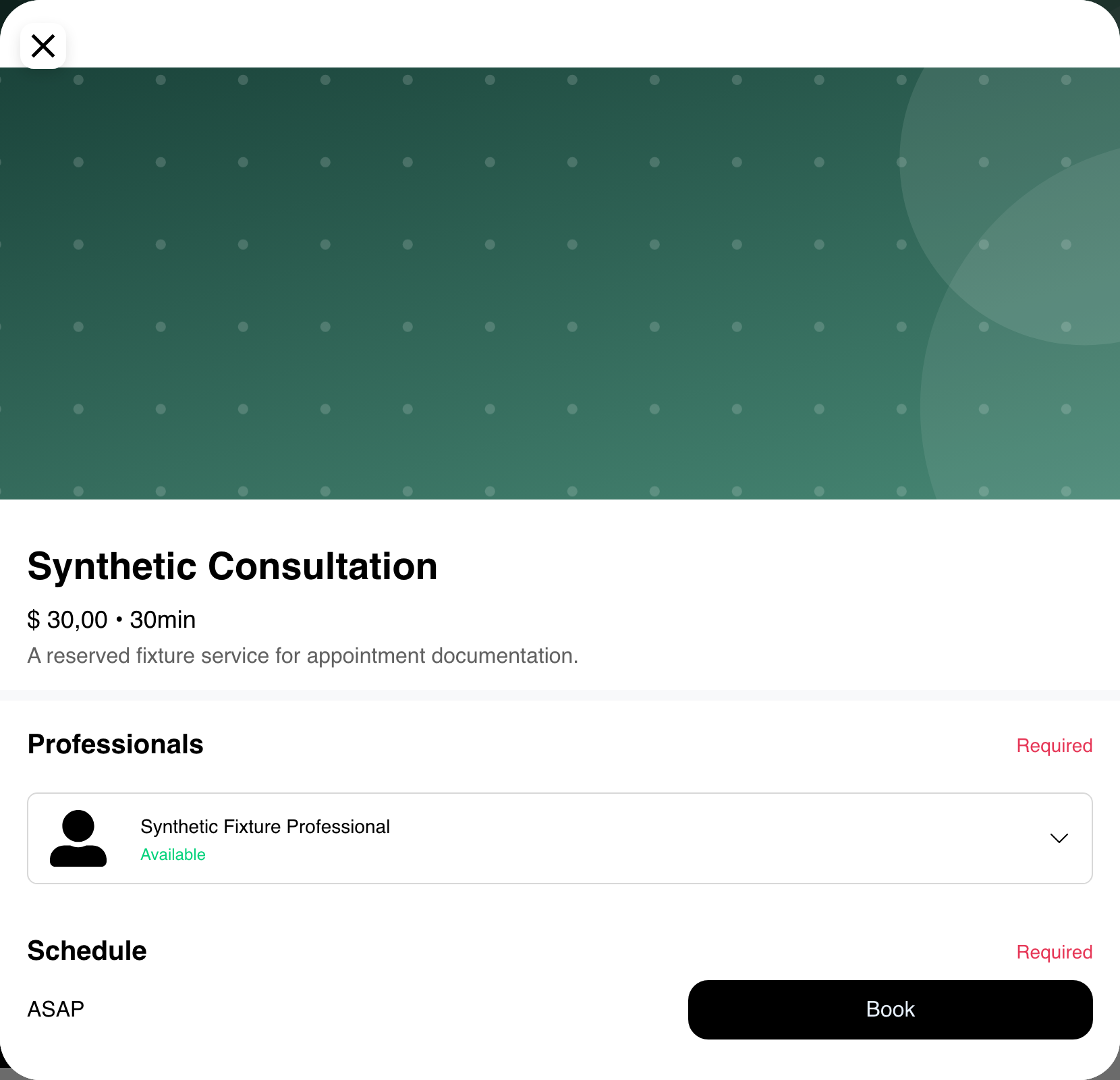 Desktop Website synthetic service form with a selected professional, schedule requirement, and passive Book control