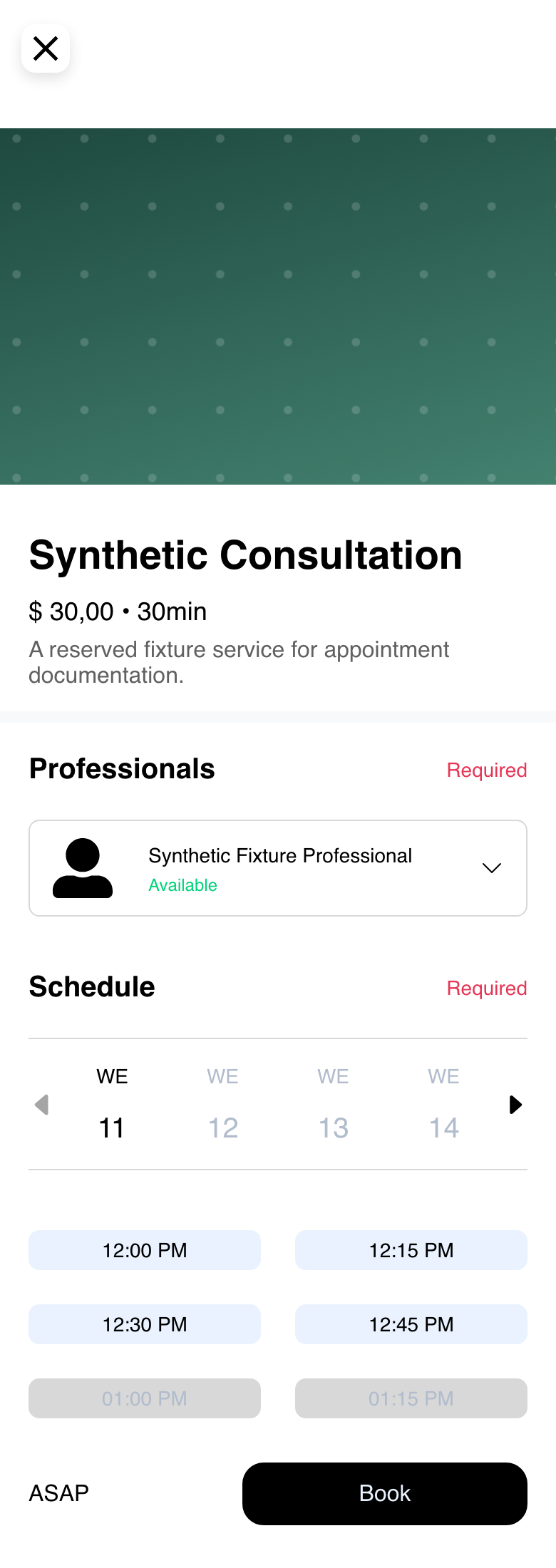 Mobile Website synthetic service form showing responsive professional and schedule choices before Book