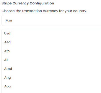 Close view of the Stripe transaction currency selector