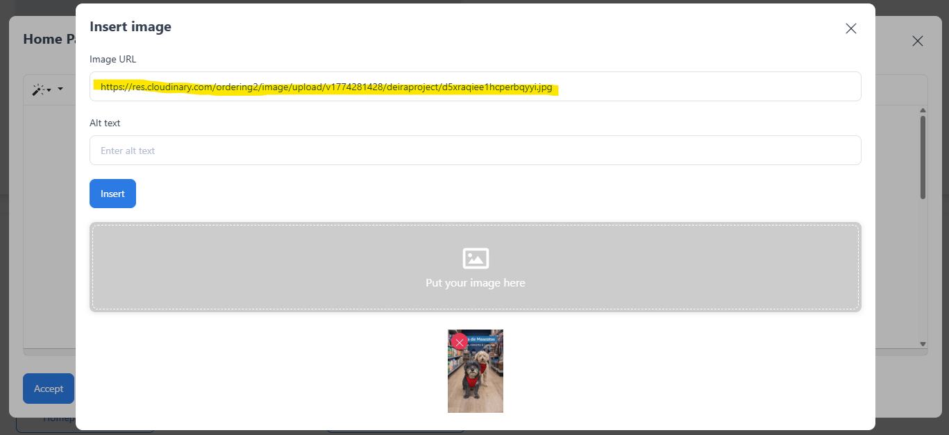Generated image URL in the Home Content editor